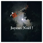 Joyeux Noël ! 2022-02-13_20h28_20.png