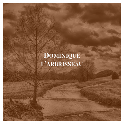 DOMINIQUE L'ARBRISSEAU