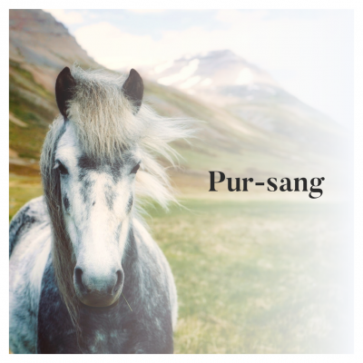 Pur-sang