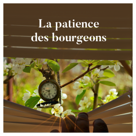 La patience des bourgeons