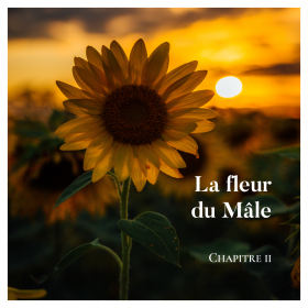 La fleur du Mâle - Chapitre II